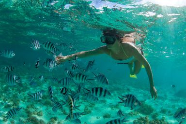 Snorkelling in Jamaica